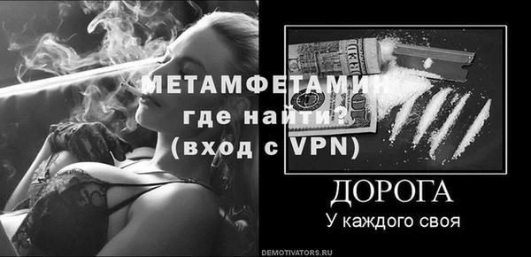 шишки Белоозёрский