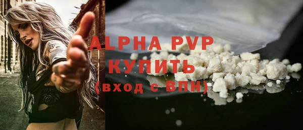 шишки Белоозёрский