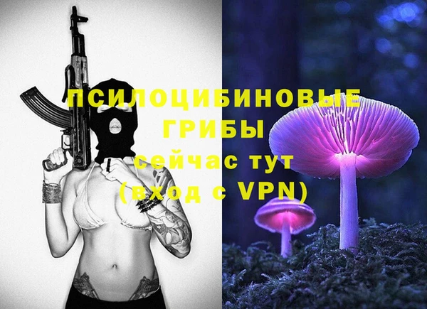 COCAINE Белокуриха