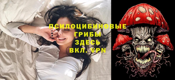 мдпв Беломорск