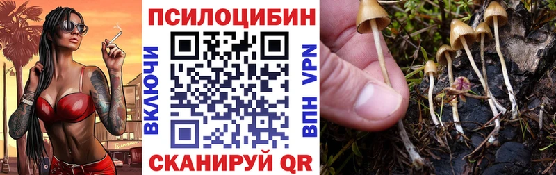 Галлюциногенные грибы MAGIC MUSHROOMS  даркнет наркотические препараты  Горячий Ключ 