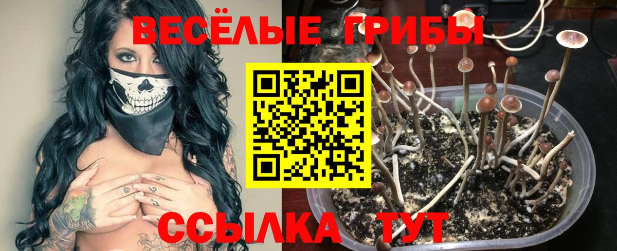 Псилоцибиновые грибы прущие грибы  Вход с VPN  Горячий Ключ 