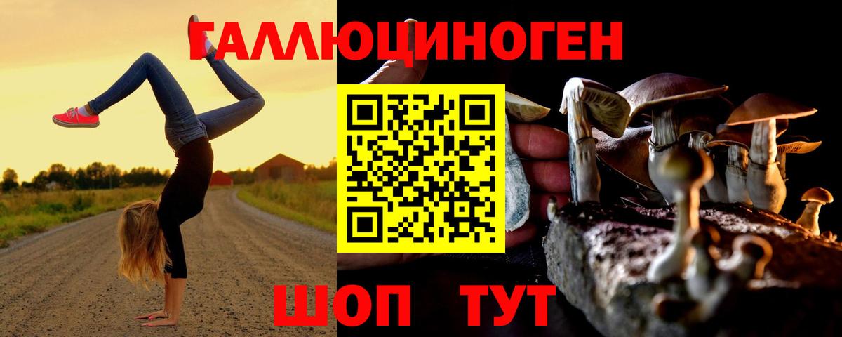 Галлюциногенные грибы GOLDEN TEACHER Горячий Ключ